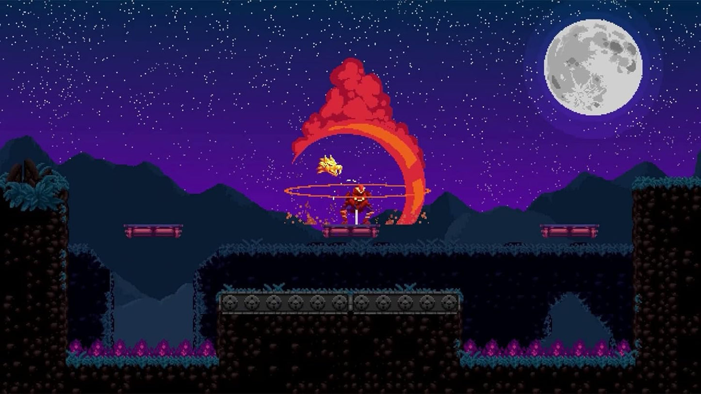 Chronicles of Two Heroes SWITCH