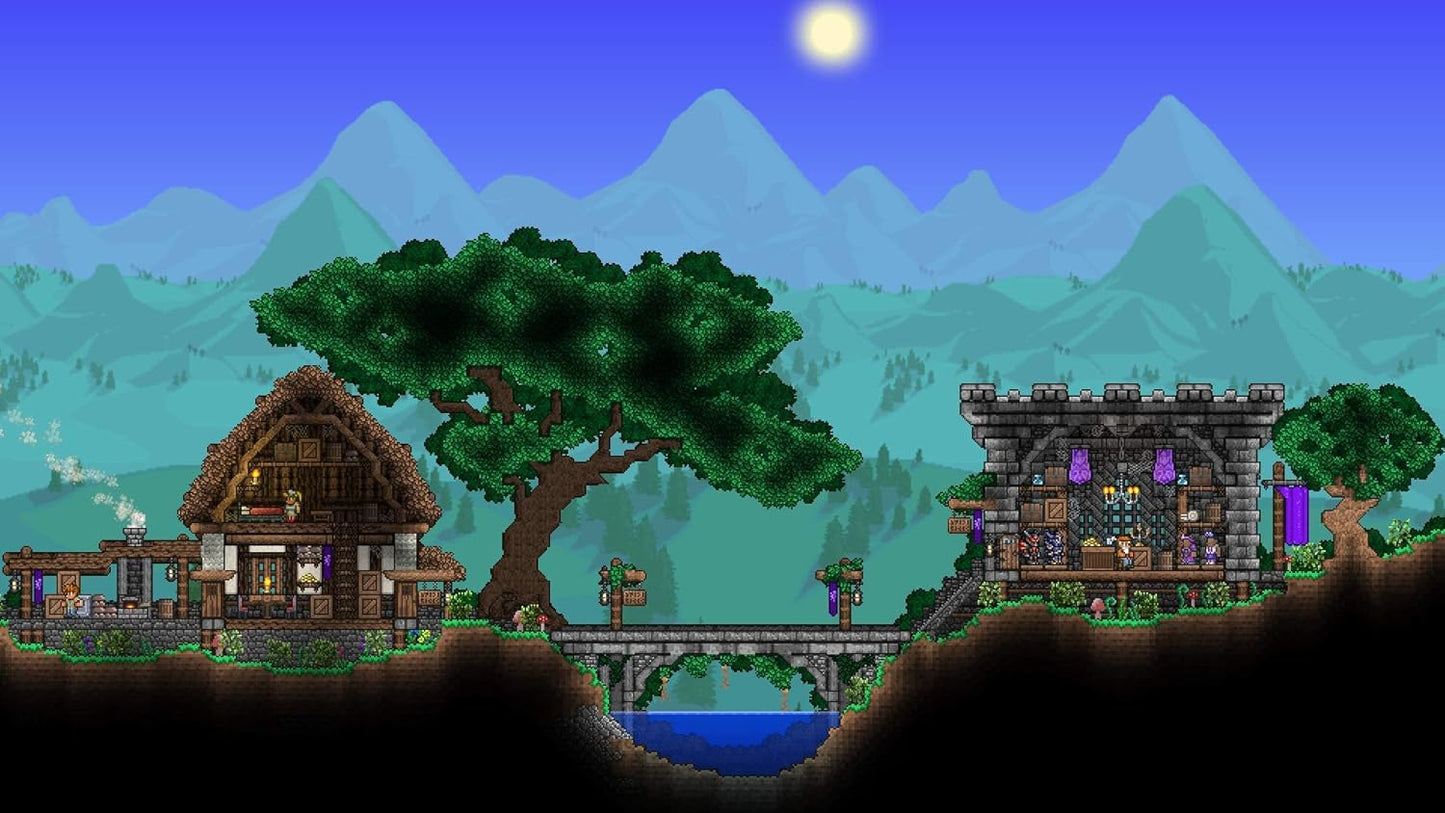 Terraria SWITCH