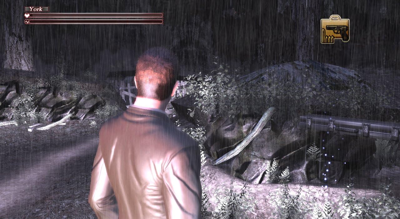 Deadly Premonition The Directors Cut PLAYSTATION 3 (Importación inglesa)