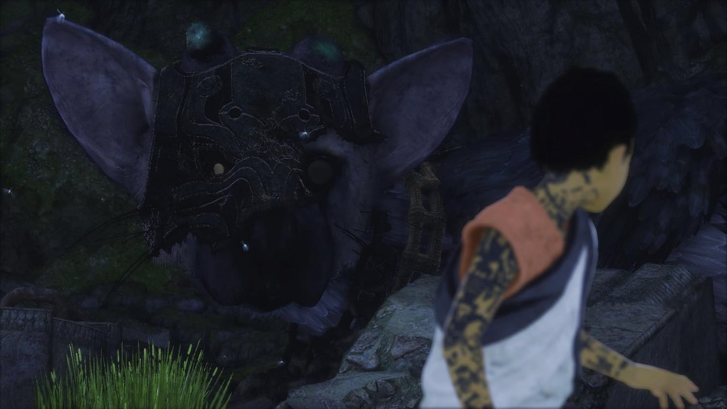The Last Guardian Limited Edition PLAYSTATION 4 (Importación japonesa)