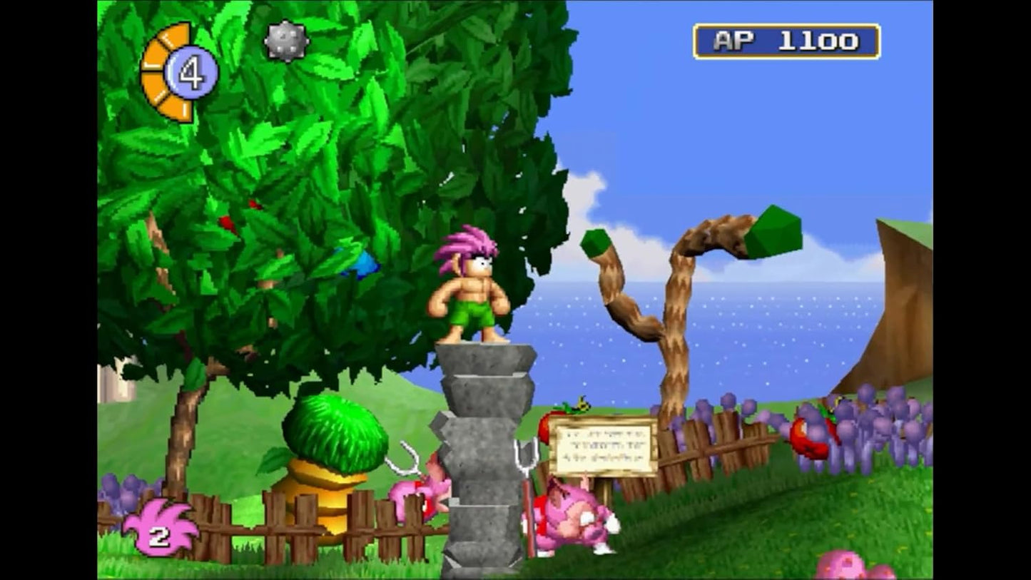 Ore! Tomba SuperDeluxe SWITCH (Importación japonesa)