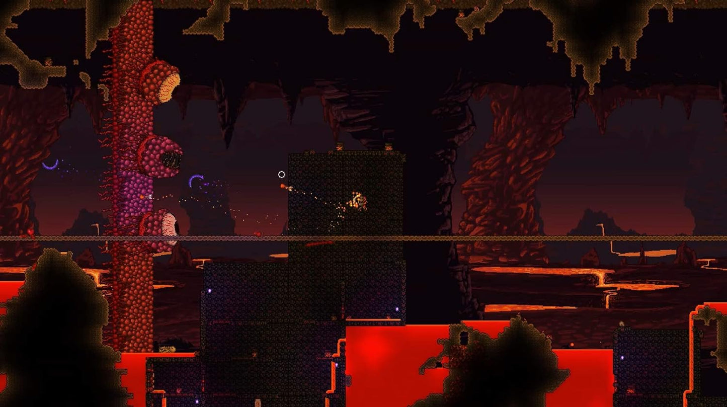 Terraria SWITCH