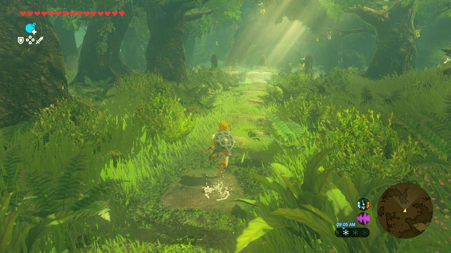 The Legend of Zelda Breath of the Wild SWITCH 2
