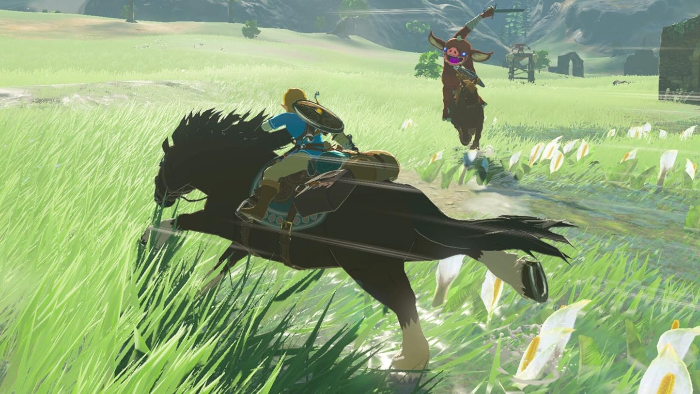 The Legend of Zelda Breath of the Wild WIIU