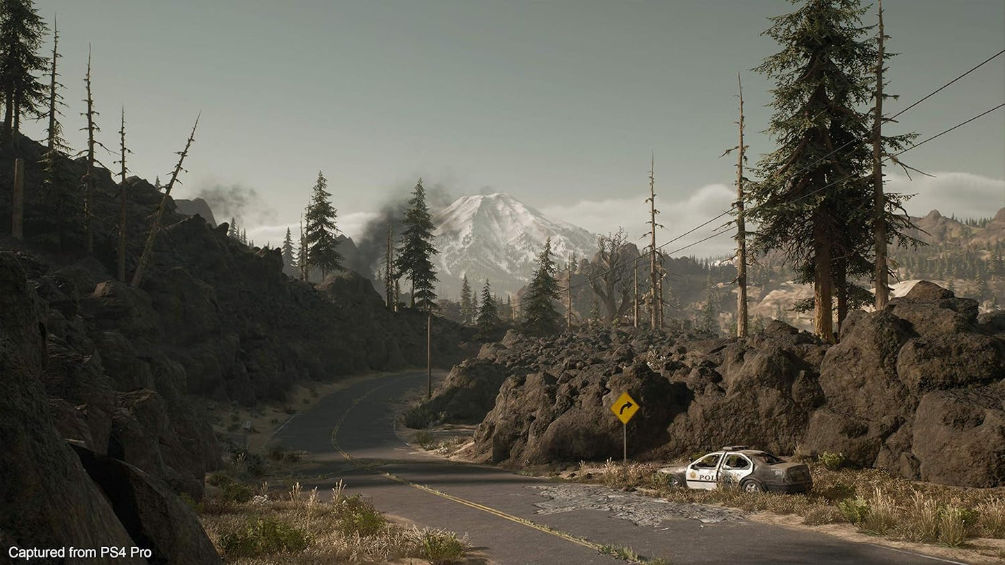 Days Gone Edición Especial PLAYSTATION 4
