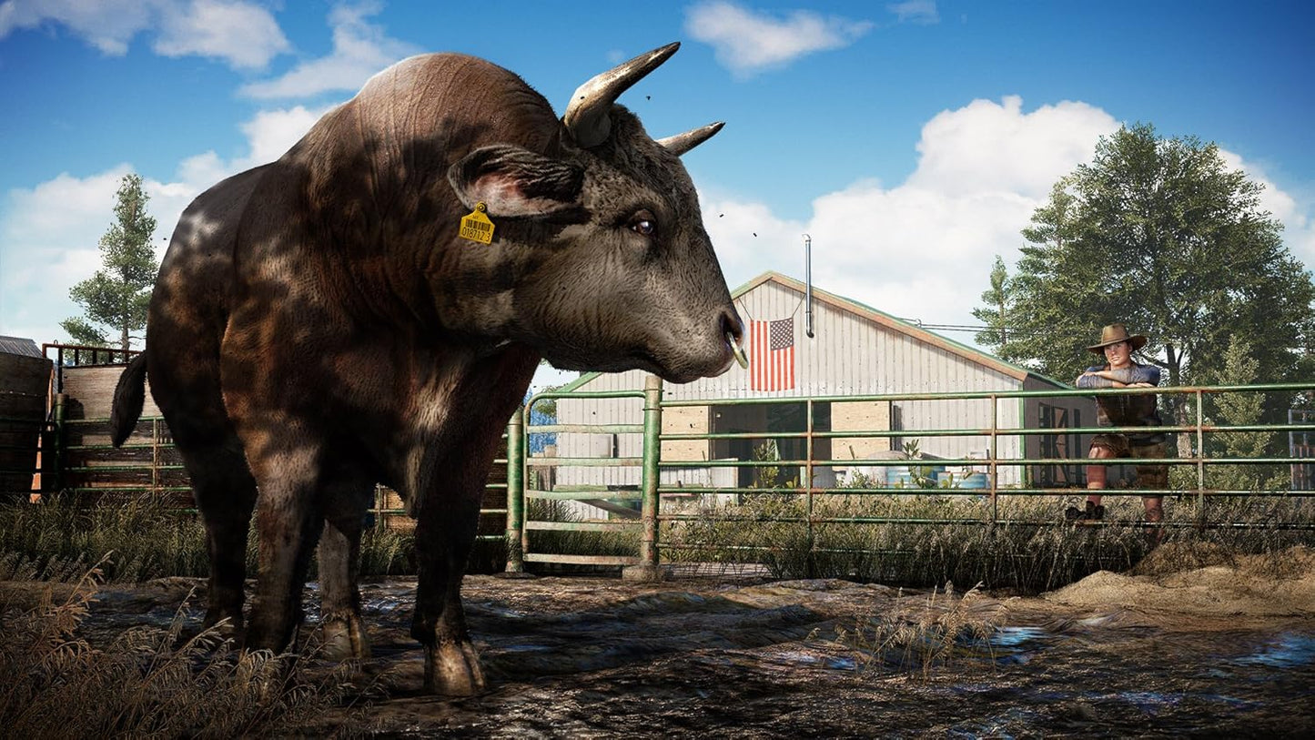 Far Cry 5 PLAYSTATION 4