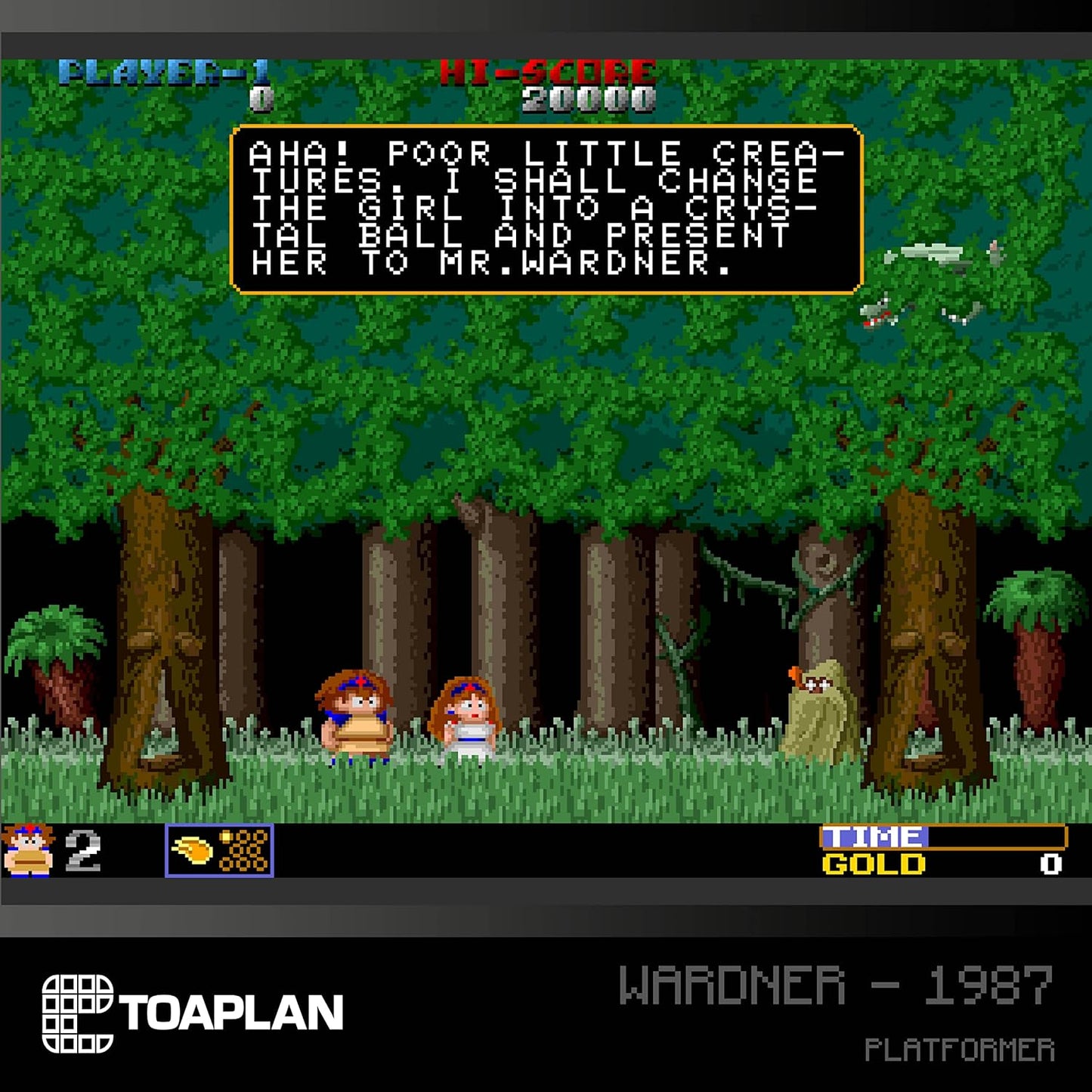 Cartucho Evercade Toaplan Arcade 2 Nº09