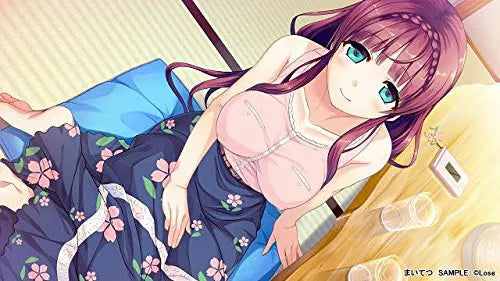Maitetsu PLAYSTATION 4 (Importación japonesa)