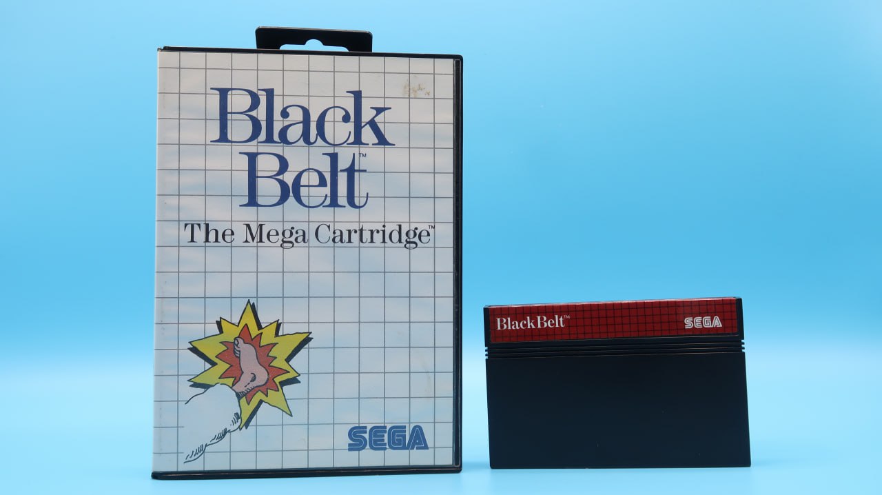 Sin Manual Black Belt MASTER SYSTEM