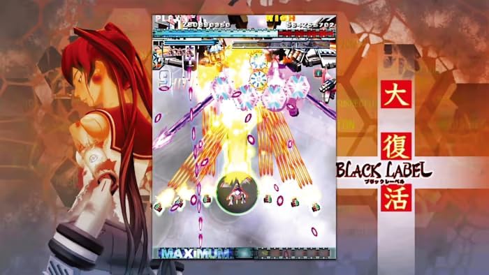 Dodonpachi Daifukkatsu Superdeluxe Edition SWITCH (Importación japonesa)