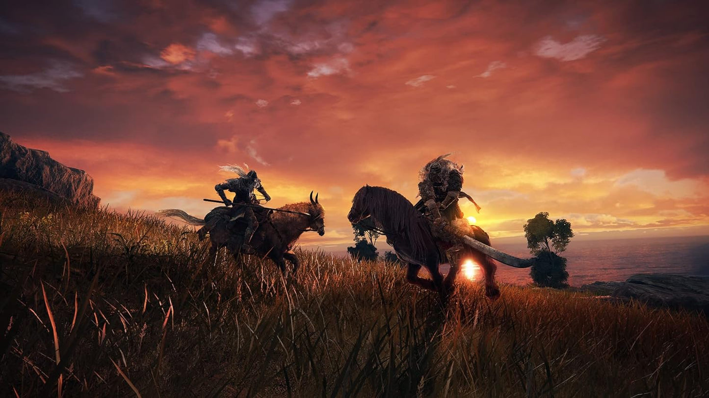 Elden Ring Standard Edition PLAYSTATION 5