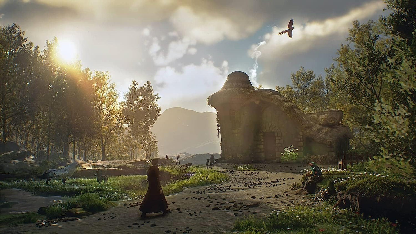 Hogwarts Legacy PLAYSTATION 4