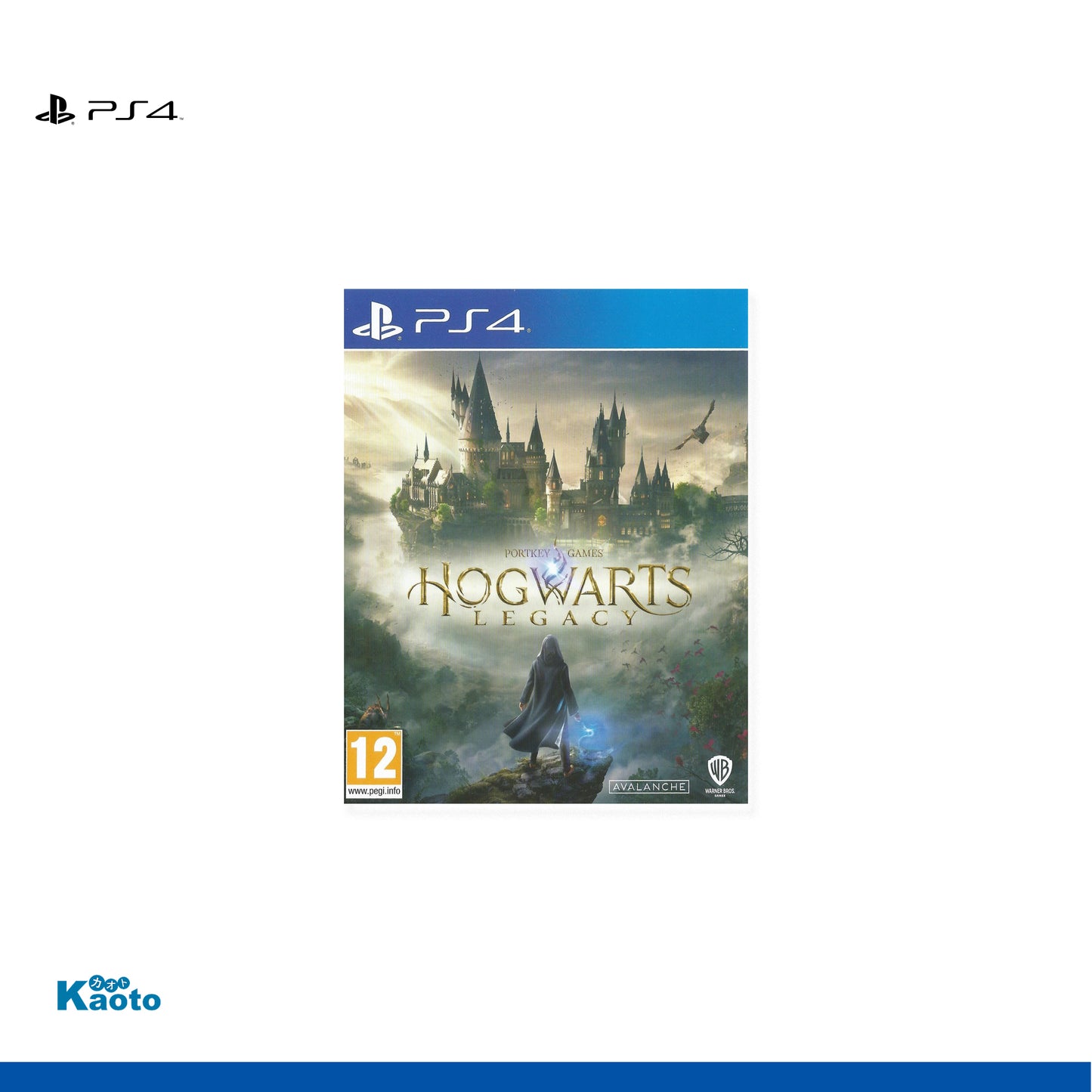 Hogwarts Legacy PLAYSTATION 4