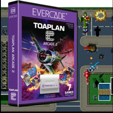 Cartucho Evercade Toaplan Arcade 2 Nº09