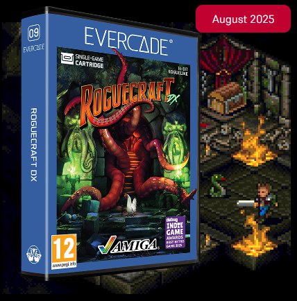 Cartucho Evercade Roguecraft Nº09