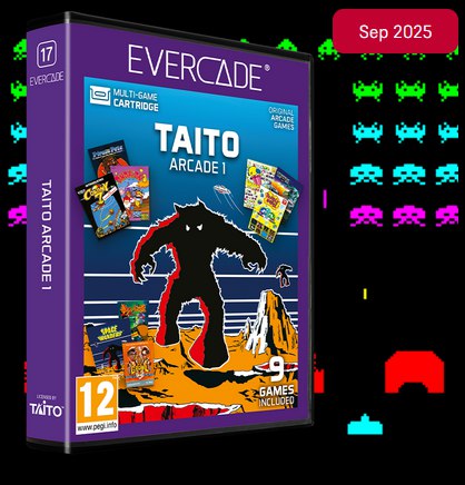 Cartucho Evercade Taito Arcade 1 Nº17