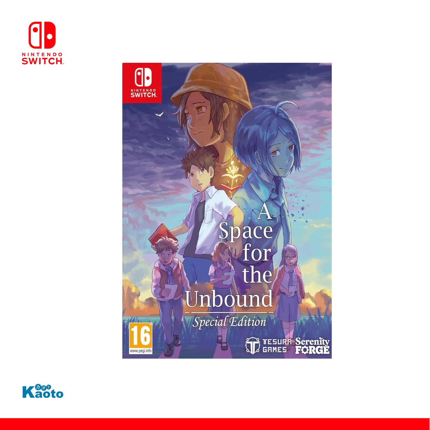 A Space for the Unbound Special Edition SWITCH